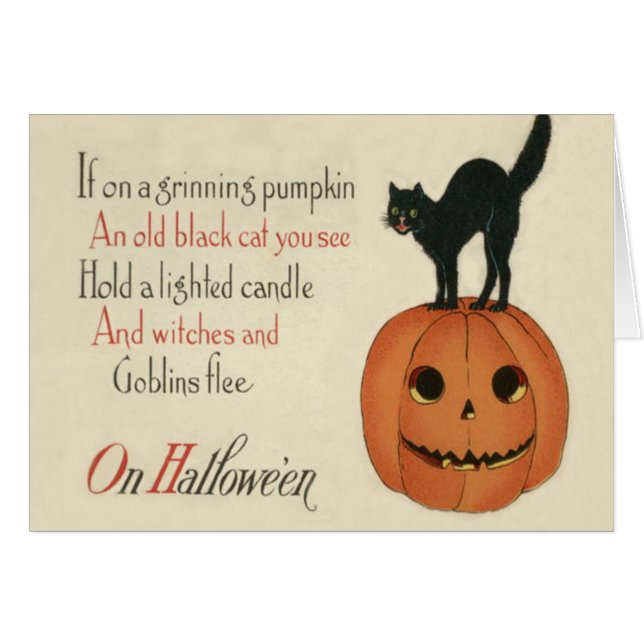 Black Cat Jack O Lantern Pumpkin Sinaasappel (Voorkant Horizontaal)