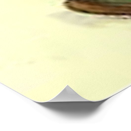 Black Cat Jack O Lantern Pumpkin Witch Moon Poster (Hoek)