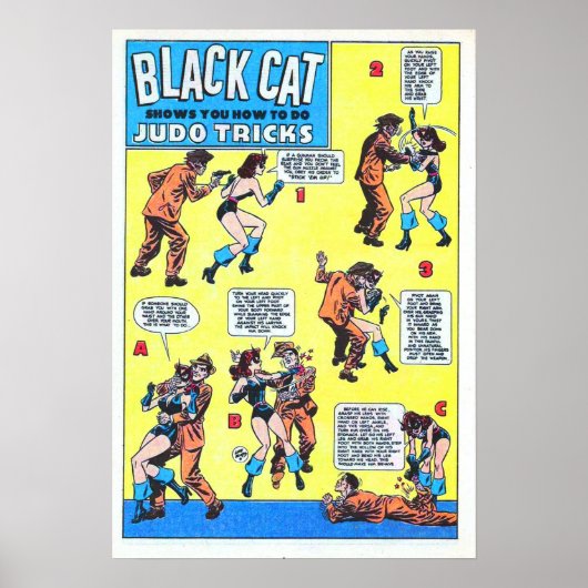 Black Cat Judo Tricks Poster (Voorkant)