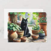 Black Cat Katten Katten Kweken Schattige Briefkaart (Voorkant / Achterkant)