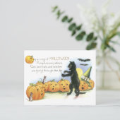 Black Cat Leading Jack O' Lantern Halloween Choir Briefkaart (Staand voorkant)