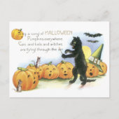 Black Cat Leading Jack O' Lantern Halloween Choir Briefkaart (Voorkant)