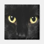 BLACK CAT Locker Magnets, koelkast Magneet (Voorkant)
