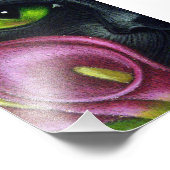 BLACK CAT MAGENTA CALLA LILY FLOWINT PRINT FOTO AFDRUK (Hoek)
