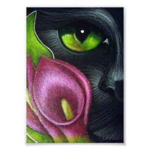 BLACK CAT MAGENTA CALLA LILY FLOWINT PRINT FOTO AFDRUK