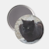 Black Cat magneet (Voorkant / Achterkant)