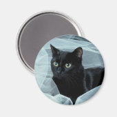 Black Cat Magnet (Voorkant / Achterkant)