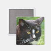 Black Cat Magnet (Voorkant / Achterkant)