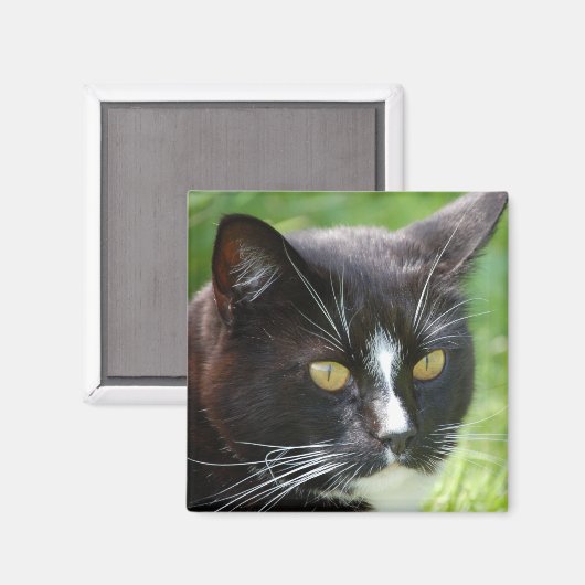 Black Cat Magnet (Voorkant / Achterkant)