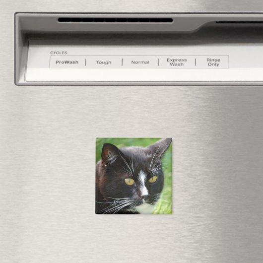 Black Cat Magnet (Insitu (Vaatwasser))