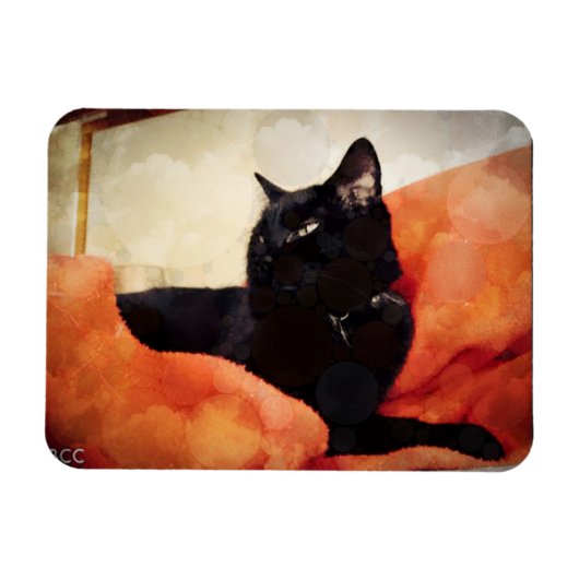 Black Cat Magnet Magneet (Horizontaal)