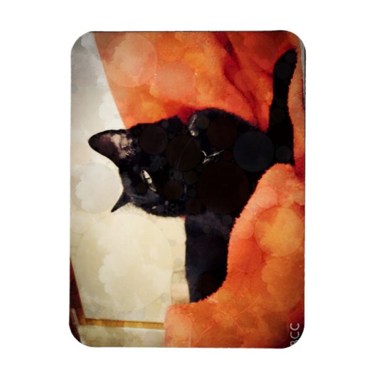 Black Cat Magnet Magneet (Verticaal)