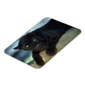 Black Cat Magnet Magneet (Linkerzijde)