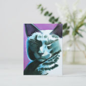 Black Cat Marina Regal Briefkaart (Staand voorkant)