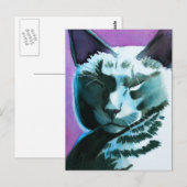 Black Cat Marina Regal Briefkaart (Voorkant / Achterkant)