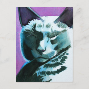 Black Cat Marina Regal Briefkaart