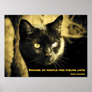Black Cat Meme met Iers spreekwoord Poster