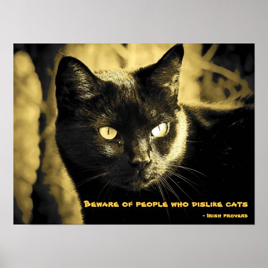 Black Cat Meme met Iers spreekwoord Poster (Voorkant)