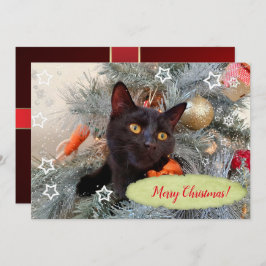 Black Cat Merry kerst Bedankkaart