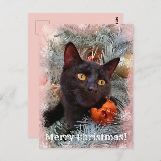 Black Cat Merry kerst Briefkaart (Voorkant / Achterkant)