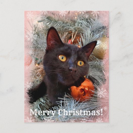 Black Cat Merry kerst Briefkaart (Voorkant)