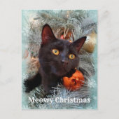 Black Cat Merry kerst Briefkaart (Voorkant)