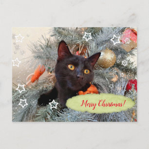 Black Cat Merry kerst Briefkaart