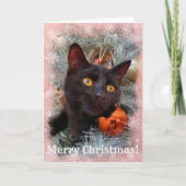 Black Cat Merry kerst Kaart (Voorkant)