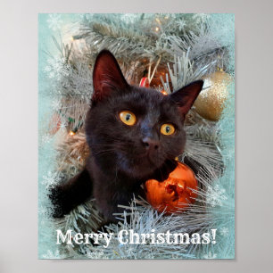 Black Cat Merry kerst Poster