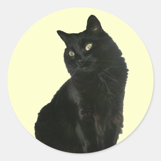 Black Cat met Golden Eyes Sticker (Voorkant)