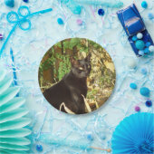 Black Cat Morning Sun Papieren Bordje (Feest)