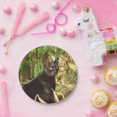 Black Cat Morning Sun Papieren Bordje (Feest)