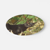 Black Cat Morning Sun Papieren Bordje (Gekanteld)