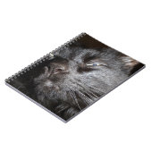 Black Cat - Oh ja, kom maar... Notitieboek (Linkerzijde)