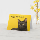 Black cat on Yellow Birthday Kaart (Gele Bloem)