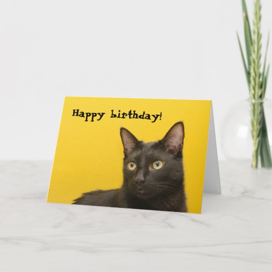 Black cat on Yellow Birthday Kaart (Voorkant)