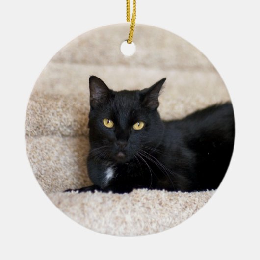 Black Cat ornament (Voorkant)