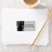 Black Cat Patiënt wachtende Adresetiketten Etiket (Insitu)