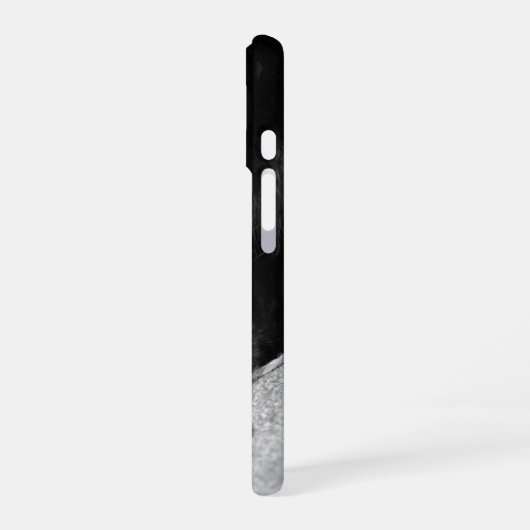 Black Cat Pet Foto gepersonaliseerd iPhone 16 Hoesje (Linkerkant)