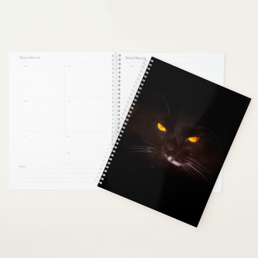 Black Cat Planner (Display)
