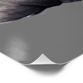 Black Cat & Pompoen Halloween POSTER (Hoek)