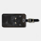 Black Cat Portrait Bagagelabel (Voorkant horizontaal)