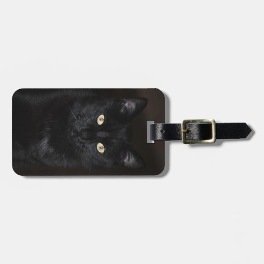 Black Cat Portrait Bagagelabel (Voorkant horizontaal)