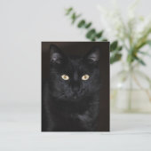 Black Cat Portrait Briefkaart (Staand voorkant)