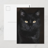 Black Cat Portrait Briefkaart (Voorkant / Achterkant)