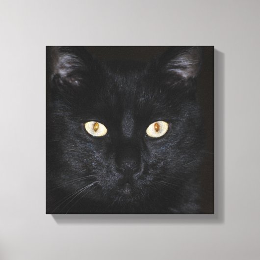 Black Cat Portrait Canvas Afdruk (Voorkant)
