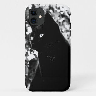 Black Cat Portrait Foto iPhone 11 Hoesje