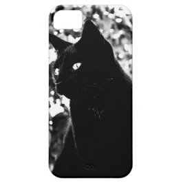 Black Cat Portrait Foto iPhone 11 Hoesje
