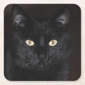 Black Cat Portrait Kartonnen Onderzetters (Voorkant)