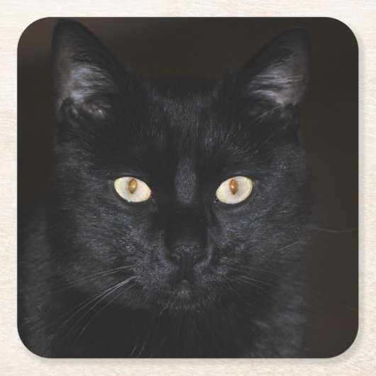 Black Cat Portrait Kartonnen Onderzetters (Voorkant)